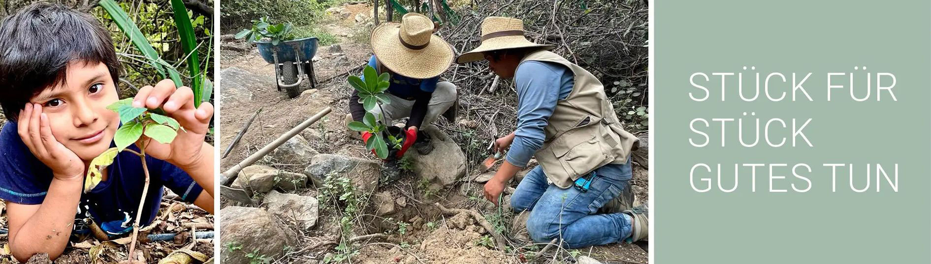 Stück für Stück Gutes tun - zwei Männer mit Strohhut, die einer Plantage einen Baum pflanzen