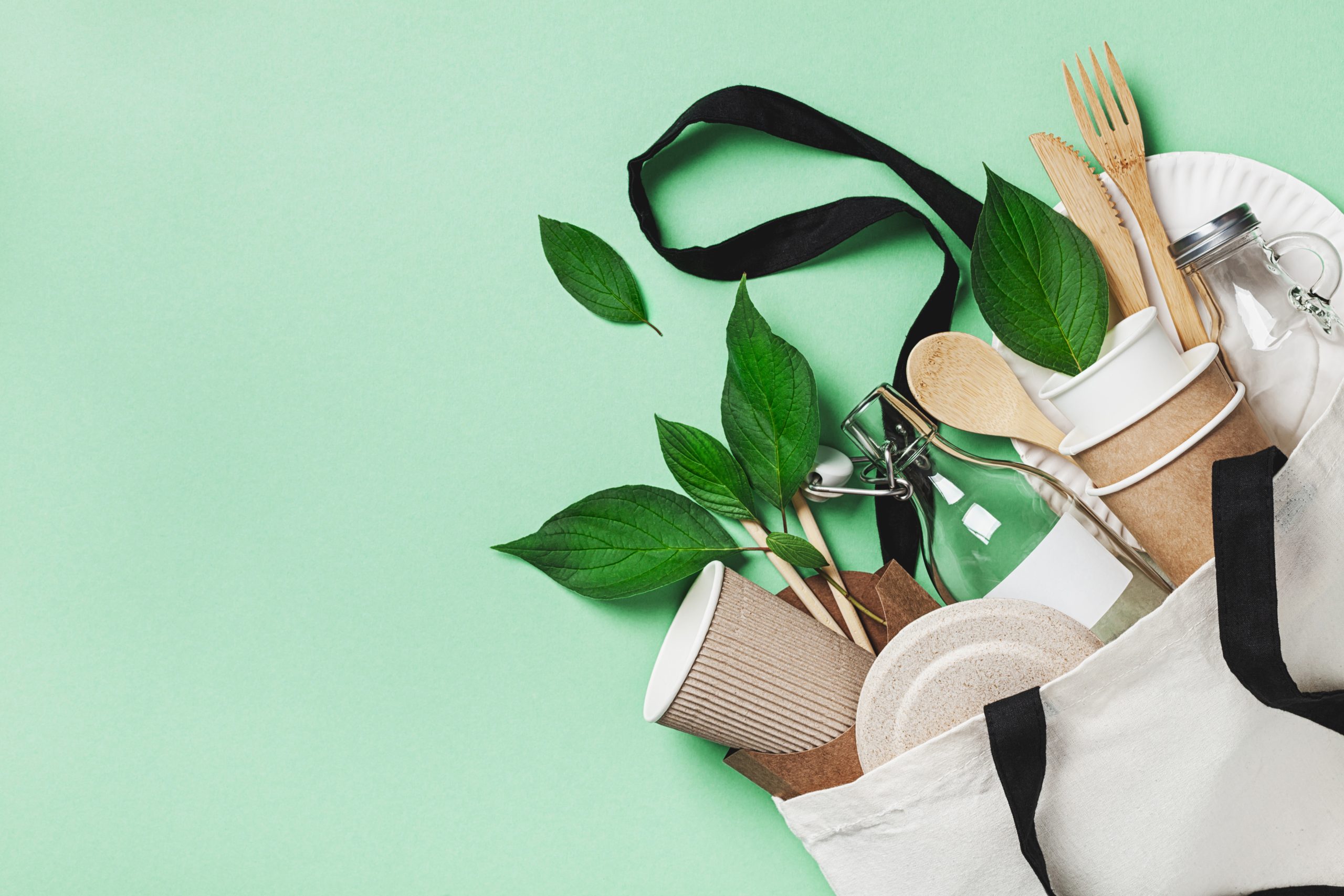 Umweltfreundlich werben: Die besten Eco-Giveaways